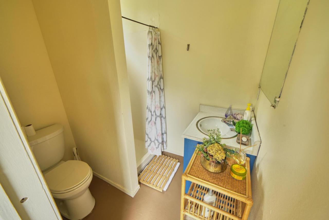 Rivers Breeze Relaxing Riverside Cabin With Private Suite Kayaks Healdsburg Exteriör bild